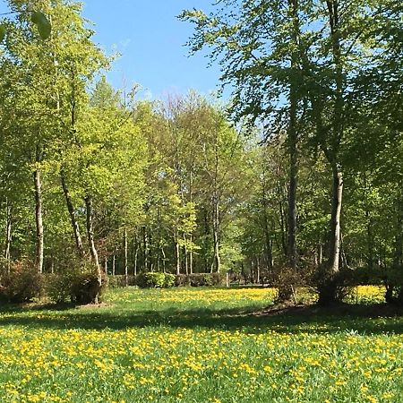 Ferienwohnung Ravelblick Roetgen Eksteriør bilde